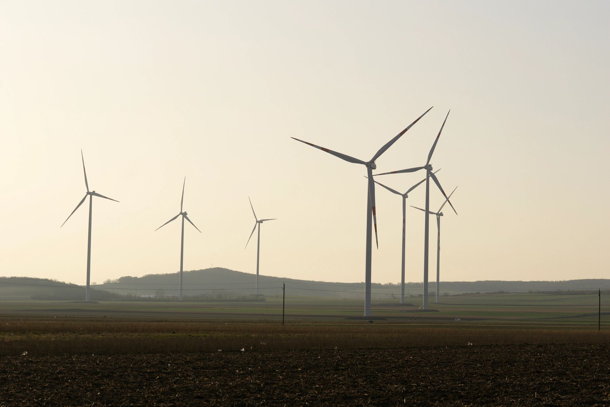 Wind turbines at sunset representing energy and transition opportunities